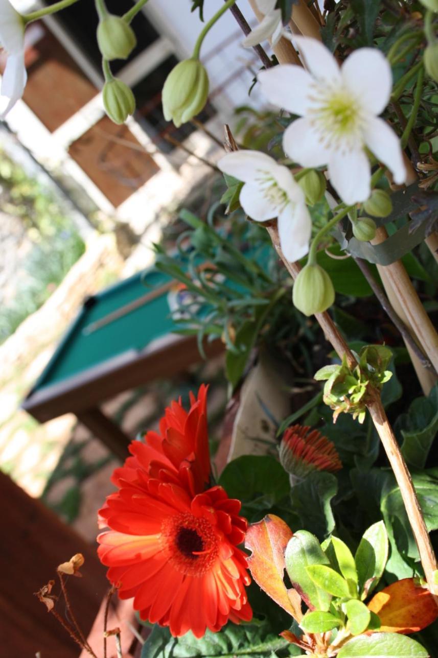 ノーチ La Cascata Bed & Breakfast エクステリア 写真